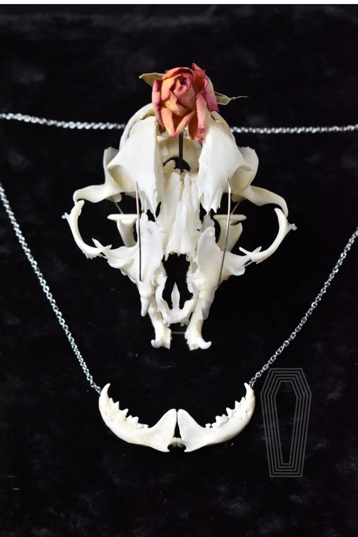 Taxidermy Bones Necklace