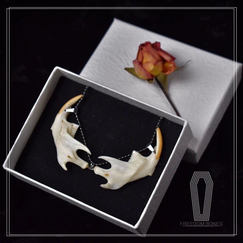 Taxidermy Bones Necklace