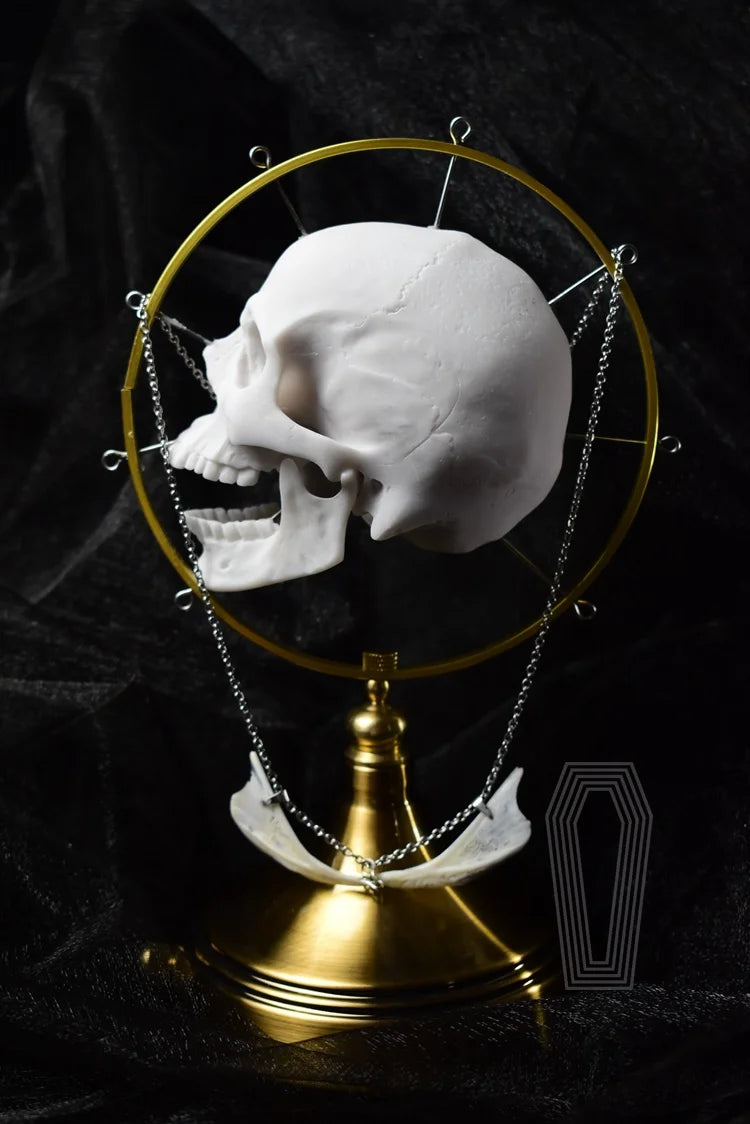 Taxidermy Bones Necklace