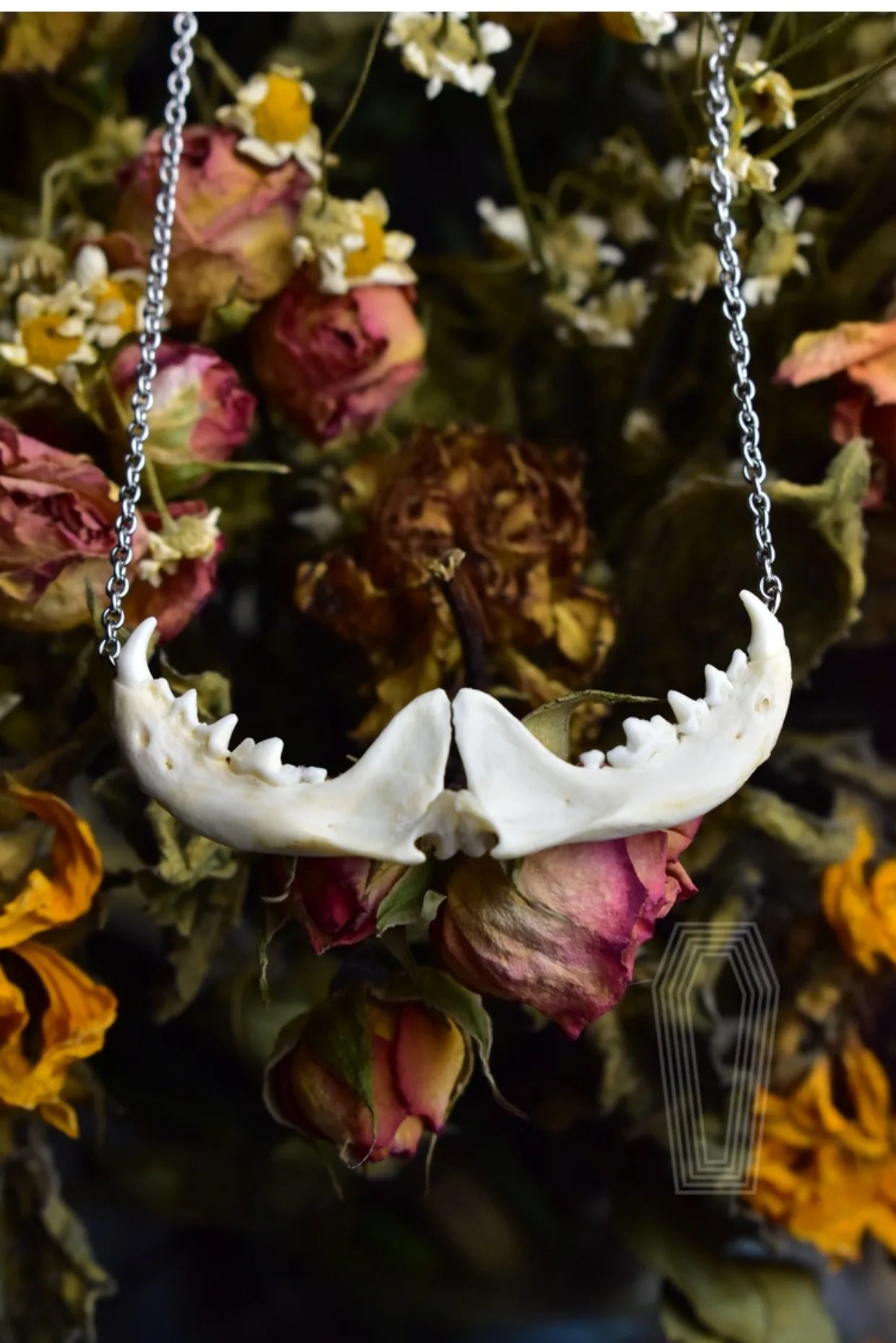 Taxidermy Bones Necklace