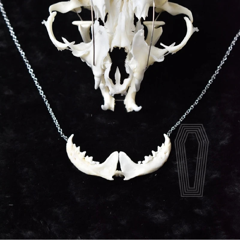 Taxidermy Bones Necklace