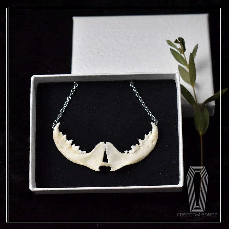 Taxidermy Bones Necklace